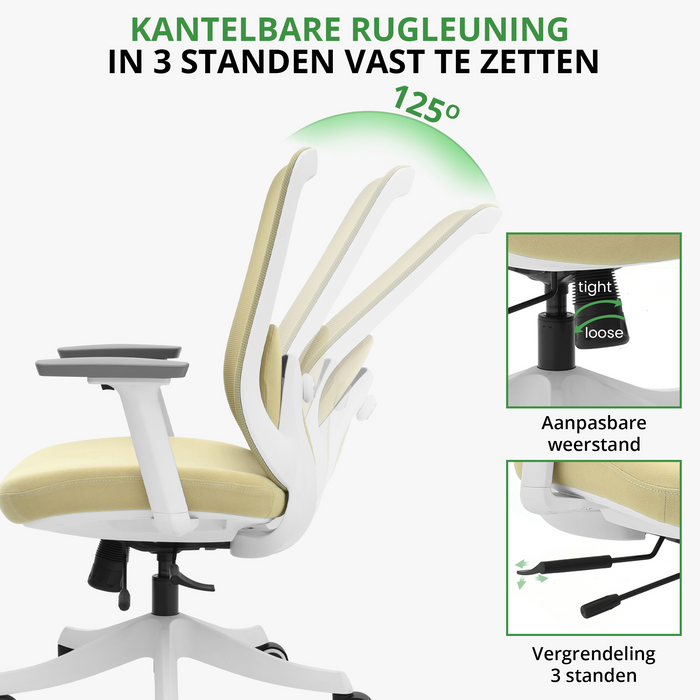 Bürostuhl Compact Pro