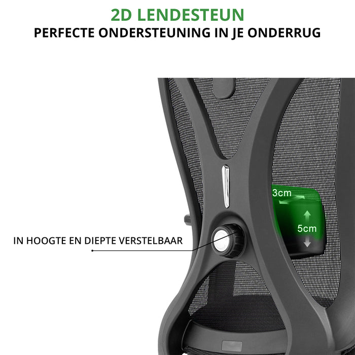 Manager Bureaustoel Lux 2D lendensteun